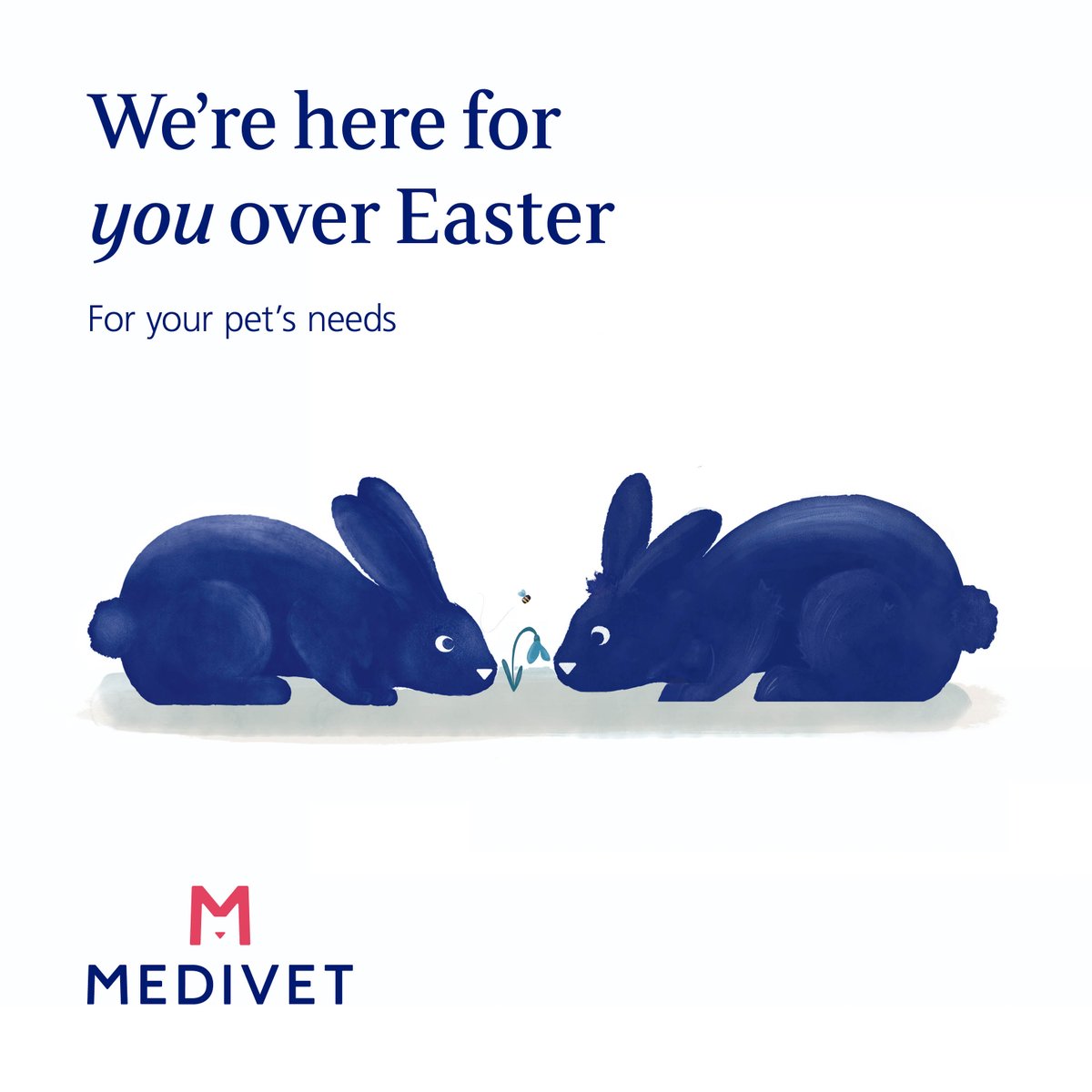 Over the #Easter weekend our opening hours may change, please contact your local practice for exact times using the link below. 🐰 medivetgroup.com/vet-practices/ Our 24 hour practices remain open for you and your pets.