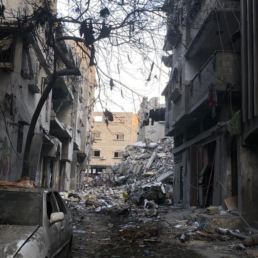 BREAKING:

Following the IPC report projecting imminent famine in #Gaza, 10 NGOs urge the EU to take immediate action to address urgent civilian needs and to push for an immediate and permanent #CeasefireNow.

plan-international.org/eu/news/2024/0…