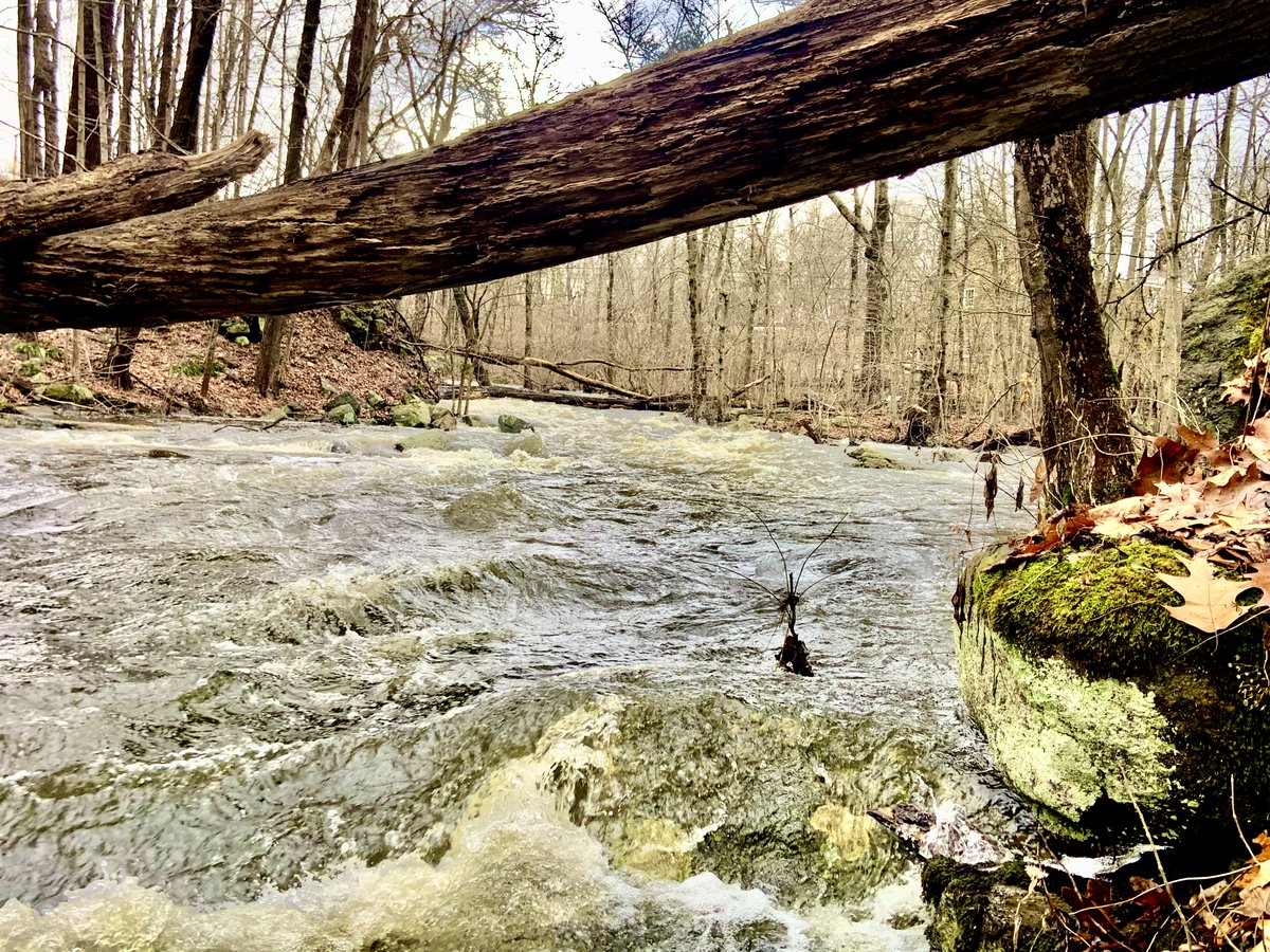 Over, under. #rivers #NaturePhotography #NatureBeauty #Thursday
