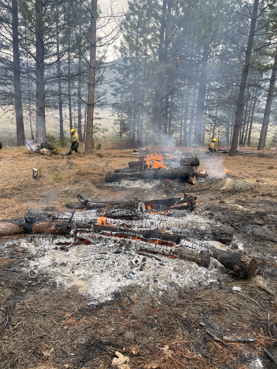 18 burn piles were complete in the Foresta Community 3/27/2024. Active burning has concluded for the week. Since October, Yosemite fire crews have completed nearly 1,500 burn piles throughout the park, turning potential hazards into ashes. NPS Photo/A.Ludwig