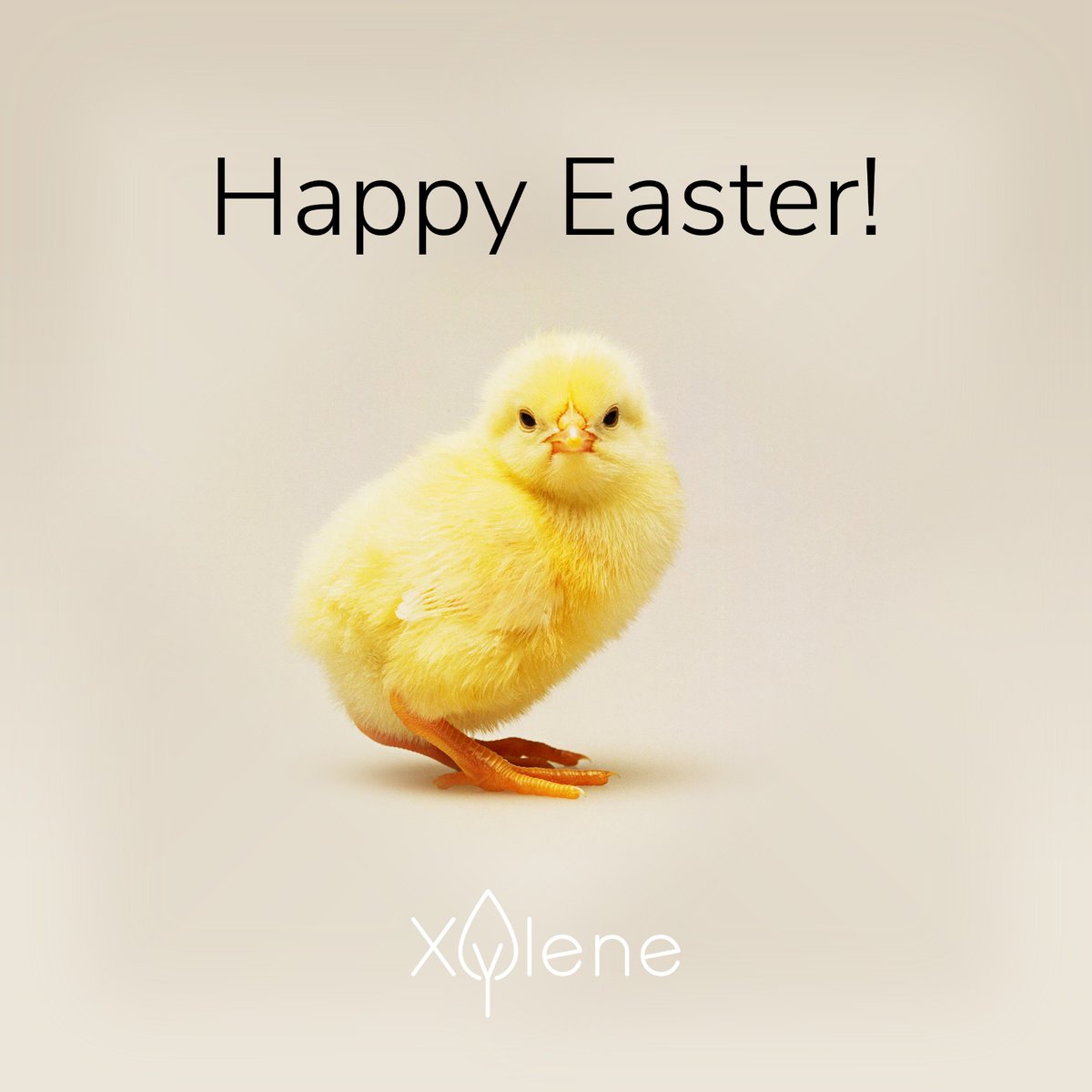 🐰Wishing you all a vibrant and egg-citing Easter from the Xylene family! 🐣 Don't forget to spread the love and positivity wherever you go! 💖 #HappyEaster #XyleneEaster #DigitalProductPassport 🐇