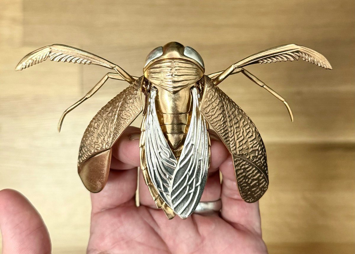 @EdSciFest @juleslhoward @flygirlNHM @origamiPete Thank you! Wish I could be there — love Edinburgh, family from there long ago, former postdoc now faculty at @EdinburghUni (@ewjwallace), and I clearly need to meet @flygirlNHM and @juleshoward to make hand-delivery