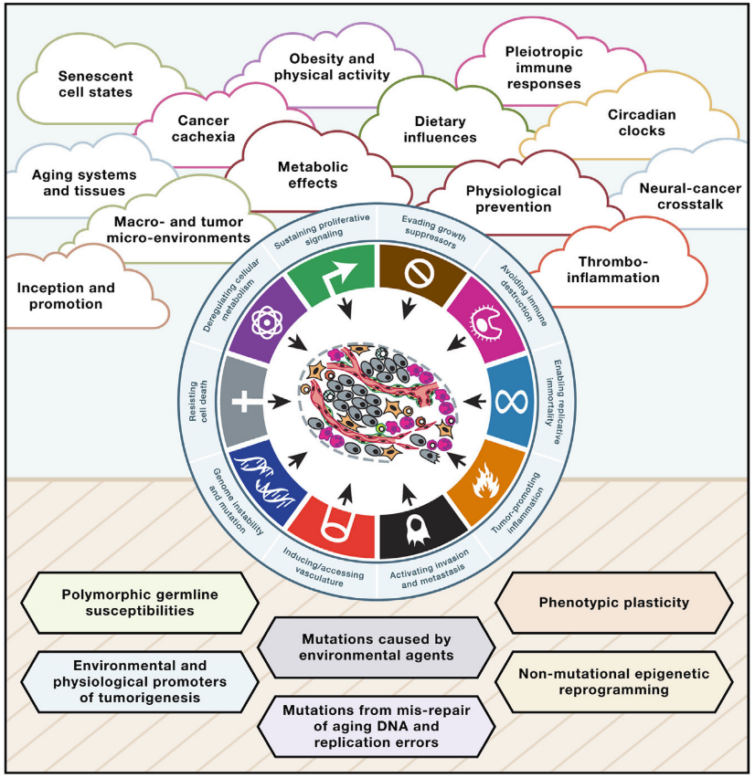 An anniversary review on the Hallmarks of #cancer as a systemic disease, now @CellCellPress. An effort led by @CharlesSwanton @Elsa2Bernard and written together with many wonderful colleagues. authors.elsevier.com/c/1iqgjL7PXqPxO