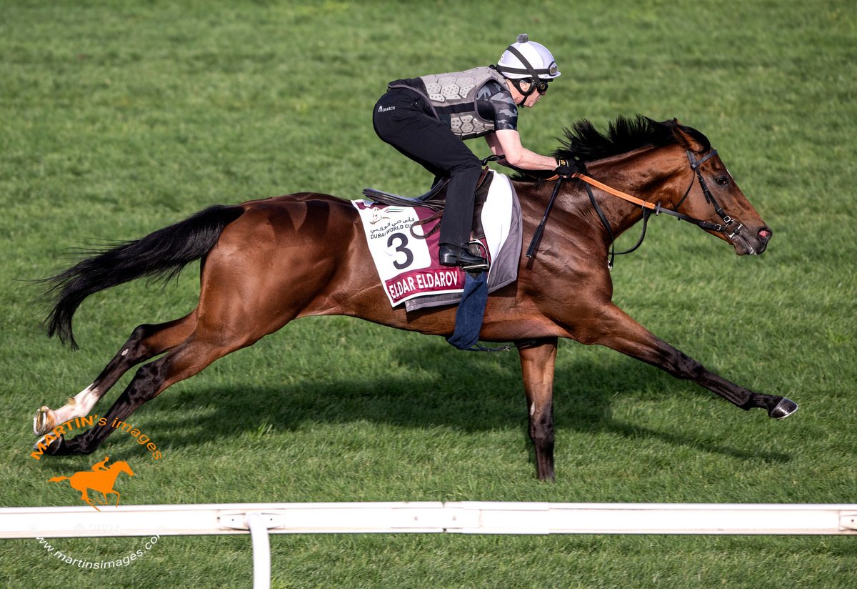 ELDAR ELDAROV 🇬🇧, G1 Irish St. Leger winner, galloped on the training track in G2 Dubai Gold Cup prep @RacingDubai 🏇#HorseRacing #DubaiWorldCup 🏆🇦🇪 #sportsphotography #Nikon