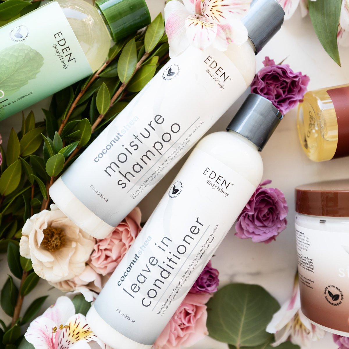 WIN✨RT + follow <a href="/edenbodyworks/">EDEN BodyWorks</a>
for a chance to WIN our Coconut Shea Leave-in Conditioner &amp; Moisture Shampoo. #springcleaning🌸 

U.S. resident only. Ends 3/31/24 at 11:59p.