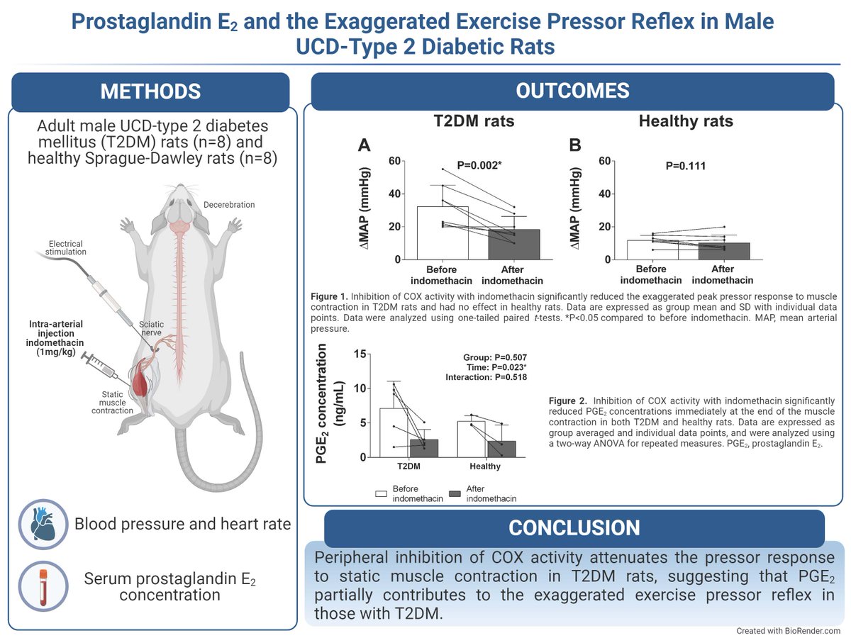 🤩Happy Monday! #ArticlesInPress, Cyclooxygenase products contribute to the exaggerated exercise pressor reflex evoked by static muscle contraction in male UCD-type 2 diabetes mellitus rats @milena_samora, et al. 🖱️ ow.ly/ntY650R4kTH #JAPPL @Pressr_professr