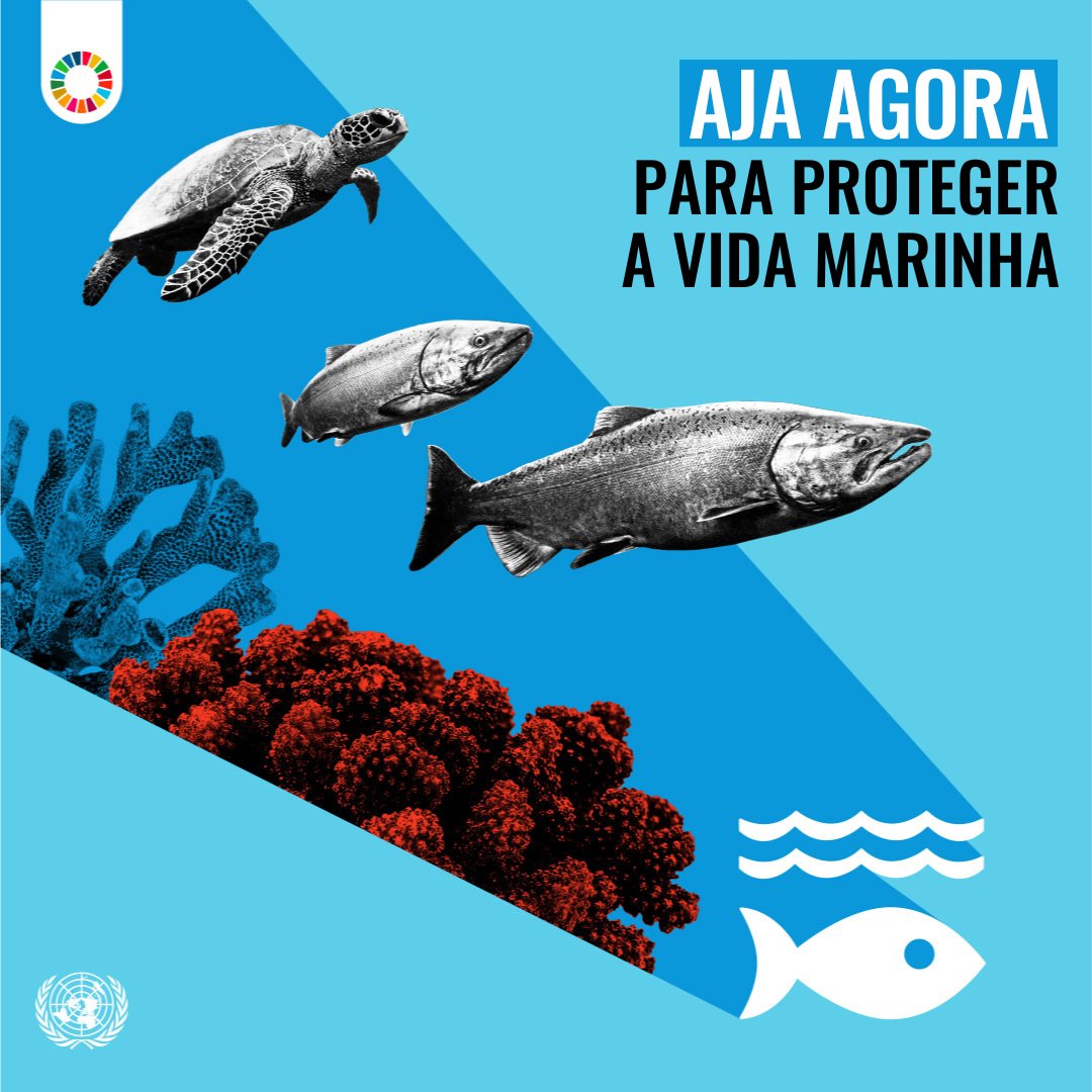 Um oceano saudável beneficia a todos e ajuda a alcançar os #ObjetivosGlobais.

Veja como você pode #AgirAgora para #SalvarOsOceanos e nosso futuro comum: un.org/sustainabledev…