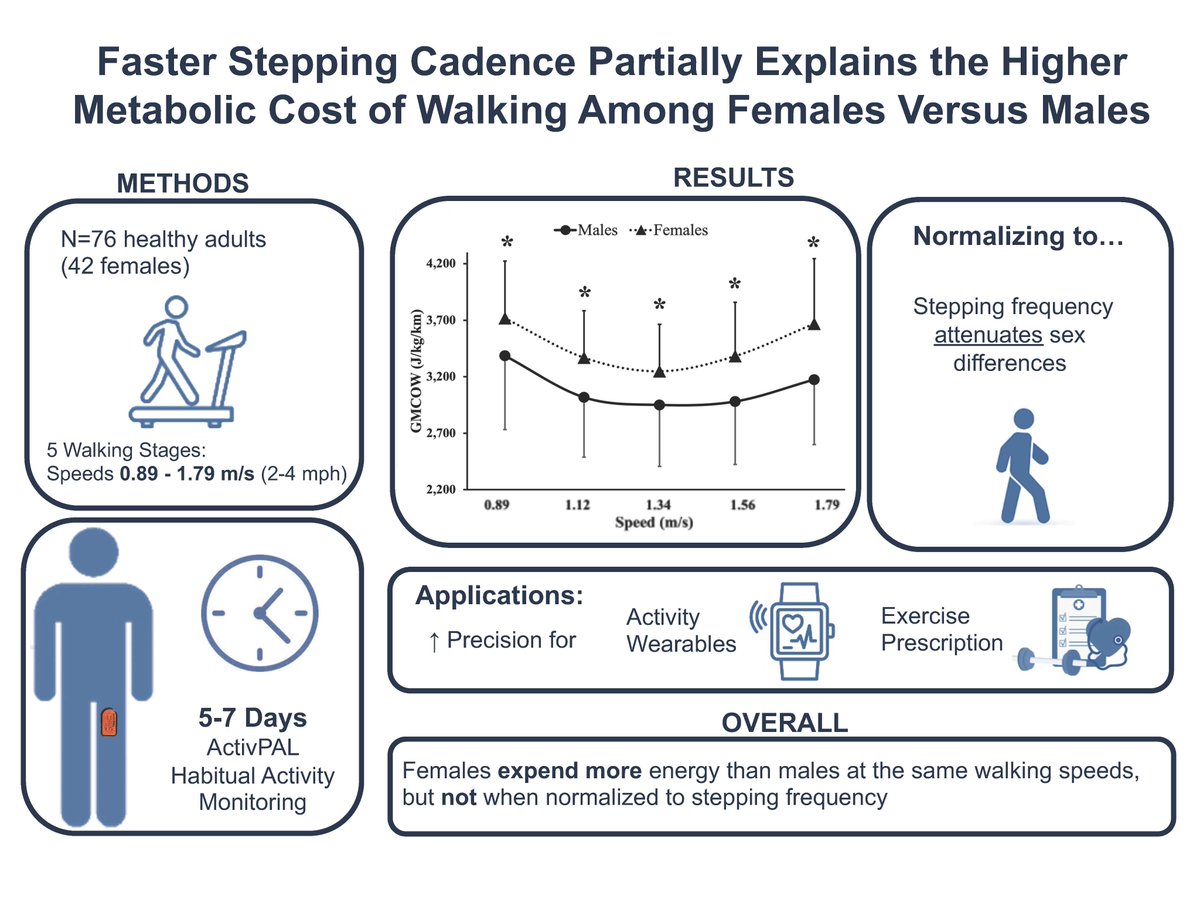 japplphysiol's tweet photo. #ShortReport #ArticlesInPress: Faster Stepping Cadence Partially Explains the Higher Metabolic Cost of Walking Among Females Versus Males  

Sophie E. Rayner, et al.  
https://t.co/rlY0UJxAwv 
#JAPPL #SexDifferences #EnergyExpenditure @Myles_OBrien20  @JenPetterson https://t.co/ArcsbtPE9N