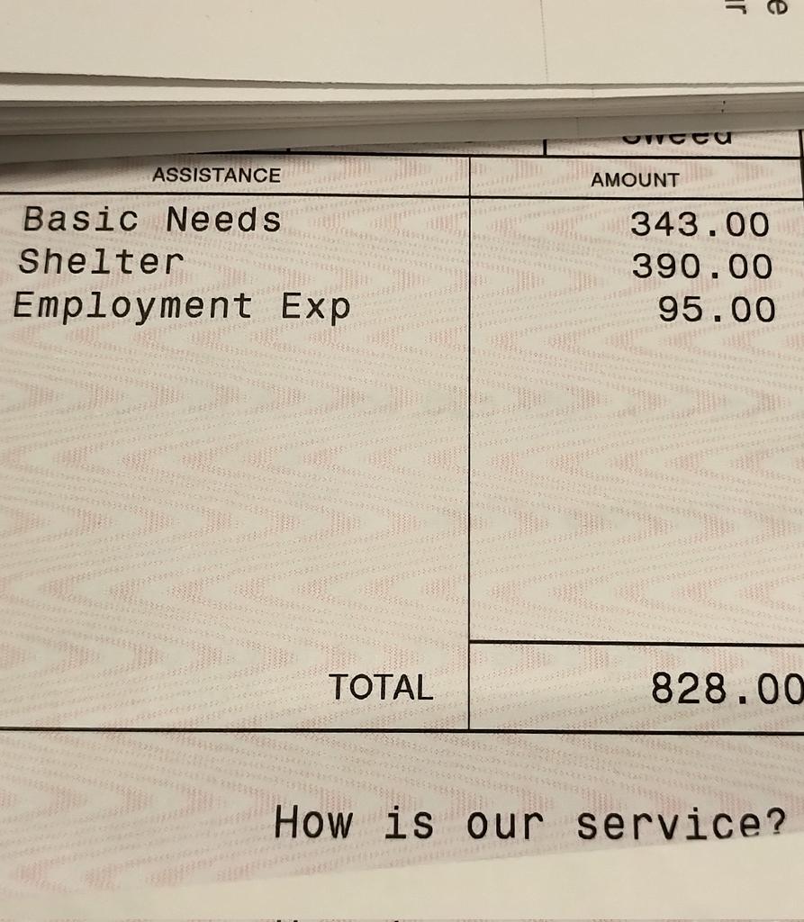 YOU is a trustee for youth <18 yrs of age who are on Ontario Works - signing a stack of these cheques is kinda heartbreaking. Can you imagine trying to survive on this? BTW - this was one of the larger amounts in the stack.
