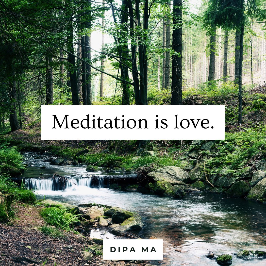 “Meditation is love.” — Dipa Ma 🤍 #dipama #jackkornfield #meditation #simplicity #mindfulness #zen #vipassana #buddhism #mindful #meditate #meditatedaily #spirituality #beherenow #awareness #metta #lovingkindness