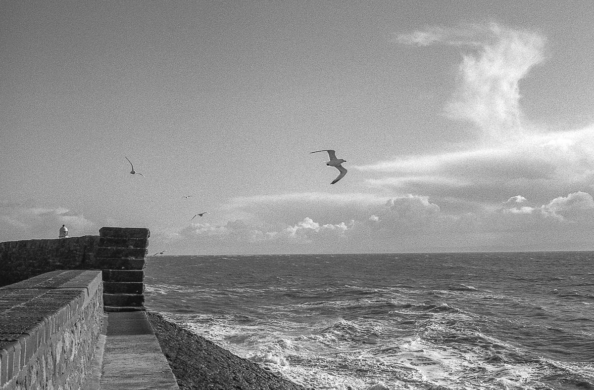 'Flyby' ... Olympus OM2s, 50mm f1.4 on ilford FP4@200 for this week's #fridayfavourites #themefreeweek #ilfordphoto