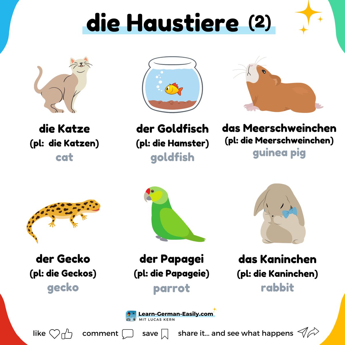 LearnXDGerman's tweet image. 🇩🇪

🐱🦜🐰 Let&apos;s learn more pet vocabulary in German!

Add these to your repertoire so you can identify your animal companion.

Learn to master German and speak fluently the easy way!
learn-german-easily.com/7-rule-challen…

___
#learngermaneasily #germanwords #speakgerman