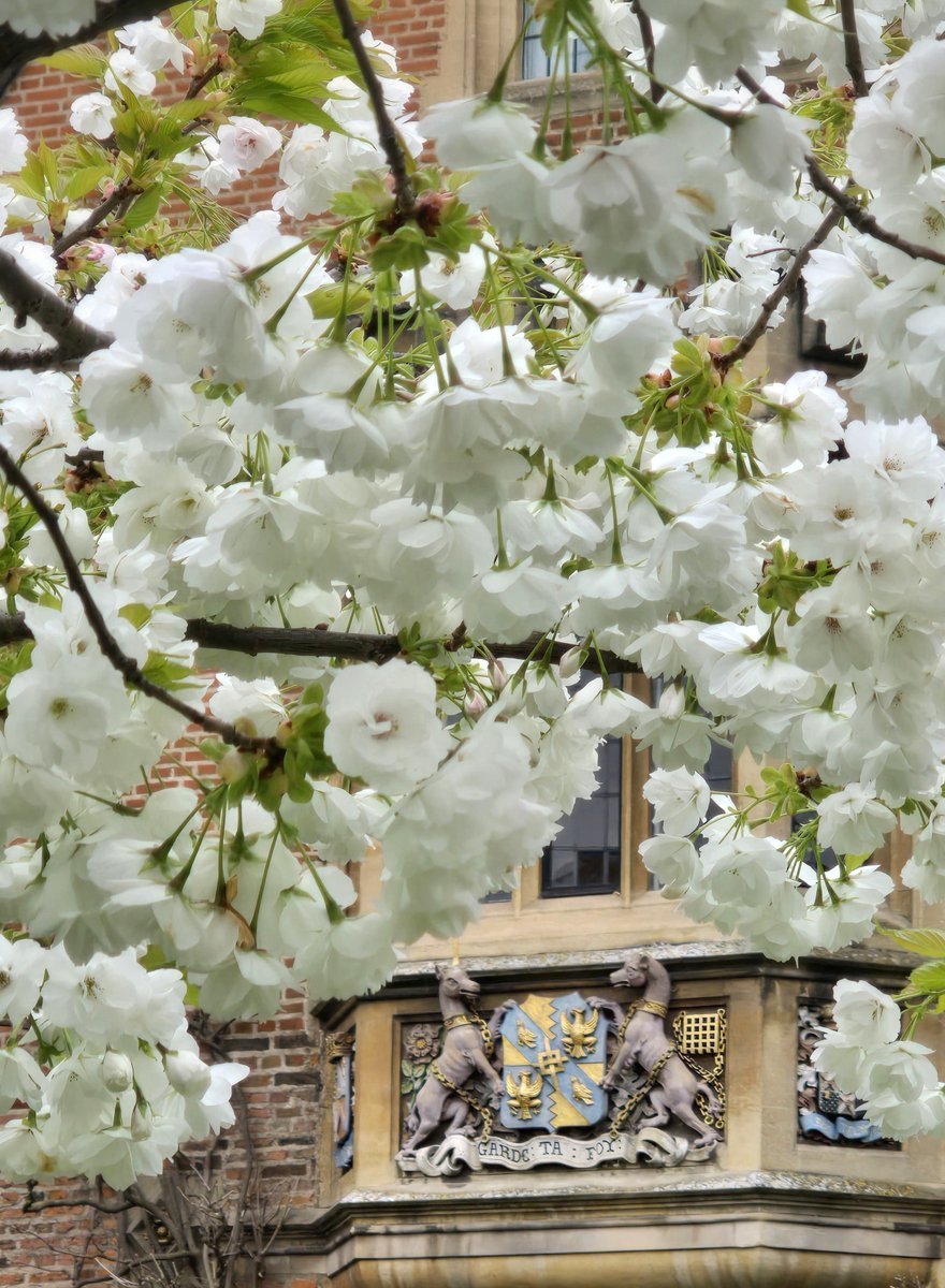 magdalenealumni's tweet image. Wishing the Magdalene community, our friends and followers a wonderful Easter weekend.