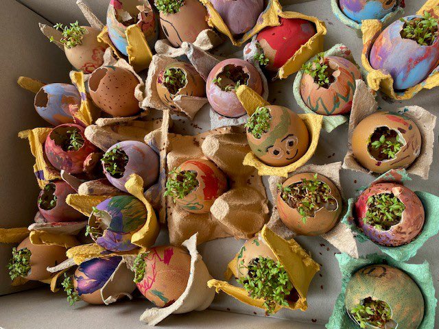 Reception have been learning about different celebrations. For Ramadan and Eid. We gave each child a delicious date to take home. Then for Nowruz and made our own version of Sabzeh. We also learnt about Holi and Easter making Easter nests and having a 3D shape Easter ‘egg’ hunt.