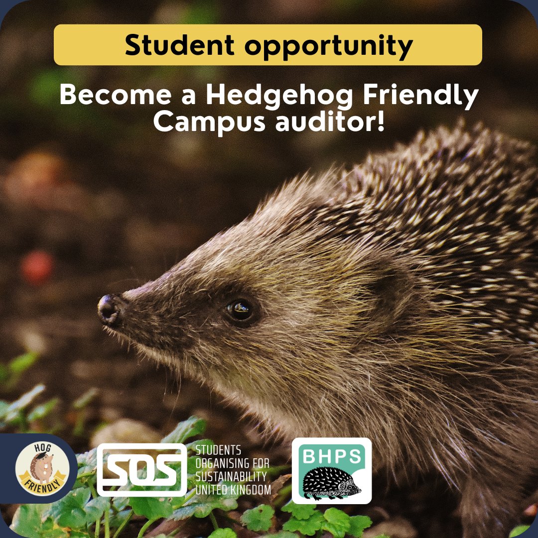 Cardiff WildSoc tweet media