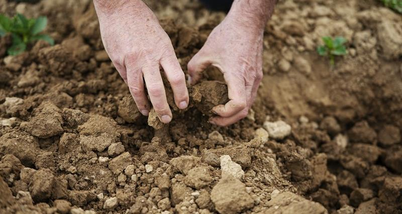 Government response to soils report needs clarity, says committee chair The Efra Committee has published the UK Government's reaction to its soil health report. Read more here 👉nfuonline.com/updates-and-in…