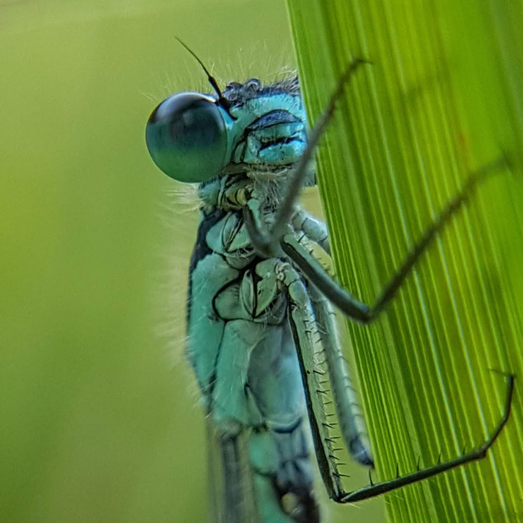UK_CEH's tweet photo. In the latest UKCEH newsletter:

🌡️Protecting Scottish lochs from climate change
🌍 Rapid study of Kakhovka Dam breach impacts
💧 Priorities for restoring England’s polluted freshwaters
🎧 Secrets of the saltmarsh

Read and subscribe: https://t.co/19n9K0ehM2 https://t.co/5gycQNuRO9