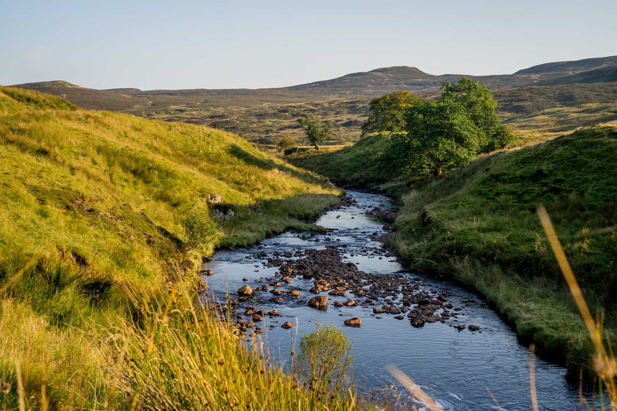 We’re looking for volunteers for a new Environmental Community Taskforce to help protect Renfrewshire’s riverbank habitats. Volunteers will work alongside our Biodiversity Officers to help tackle the damaging effects of non-native plants on riverbanks. renfrewshire.gov.uk/article/13869/…