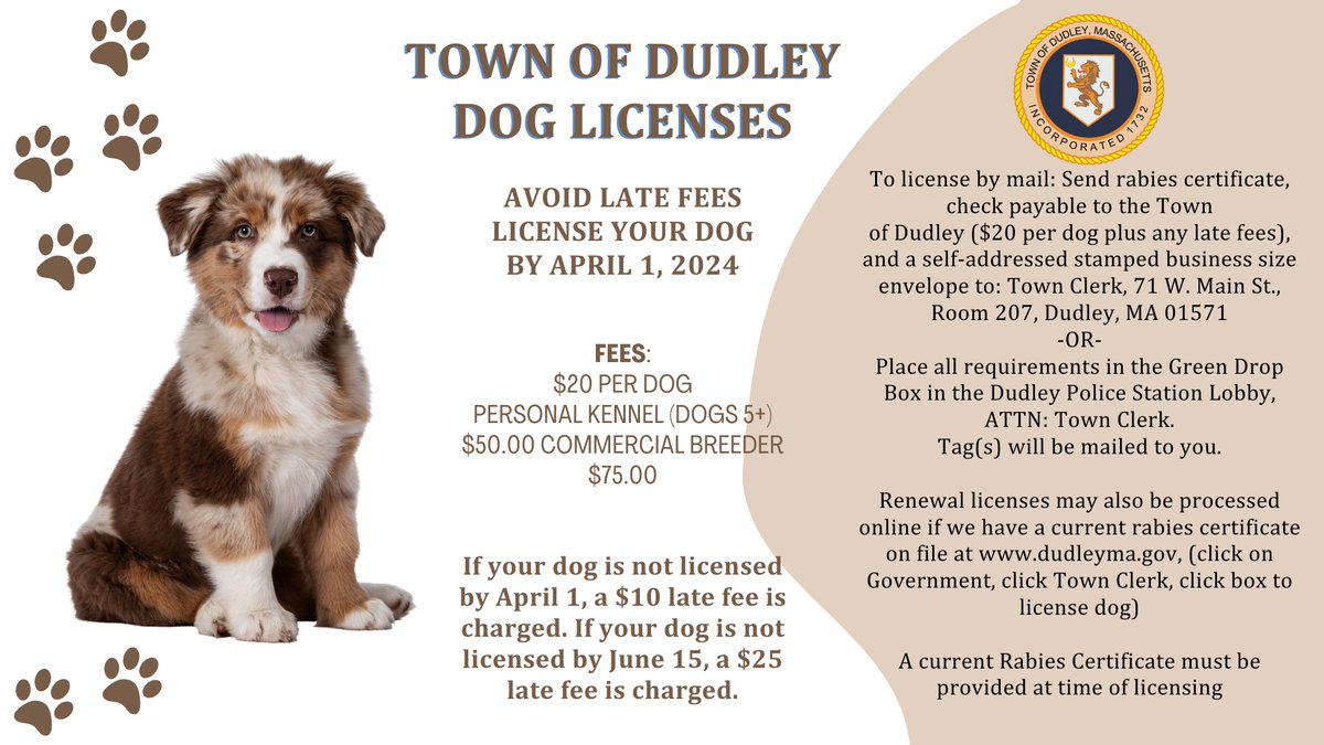 deblaplaca's tweet image. 