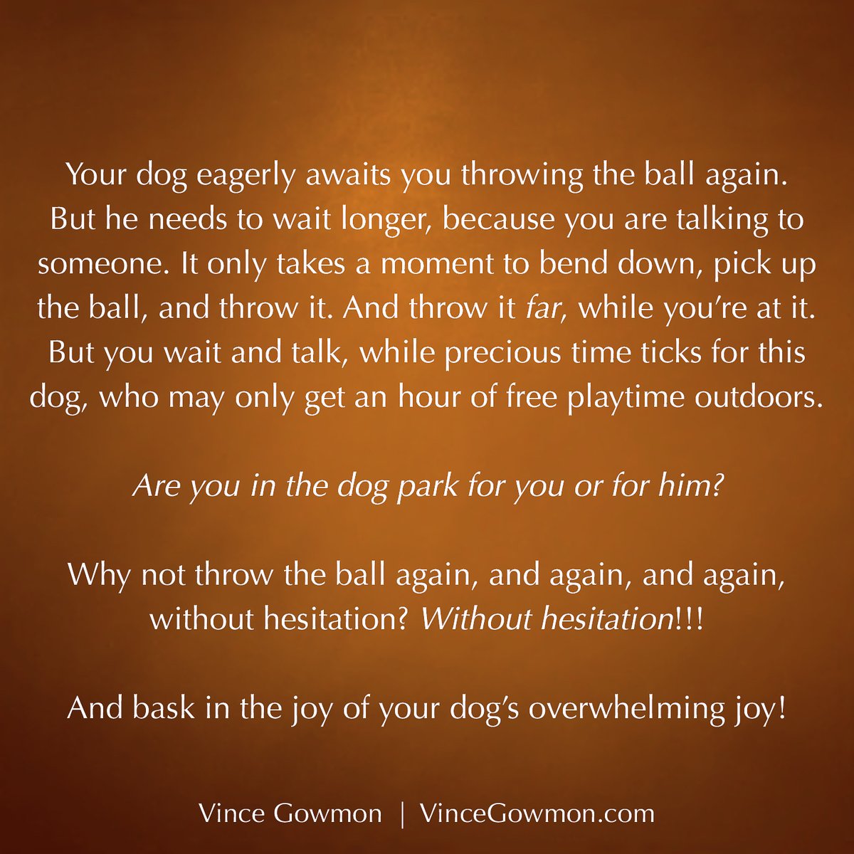 On behalf of these Beautiful Beings and Play Masters, whose barking and eagerness are so often unnoticed, if not punished, thank you for reading!

Related: We Stop Dogs From Play Fighting Because We Fear Our Own Wildness > bit.ly/2u6BdBoK

#dog #dogs #doglovers #doglover