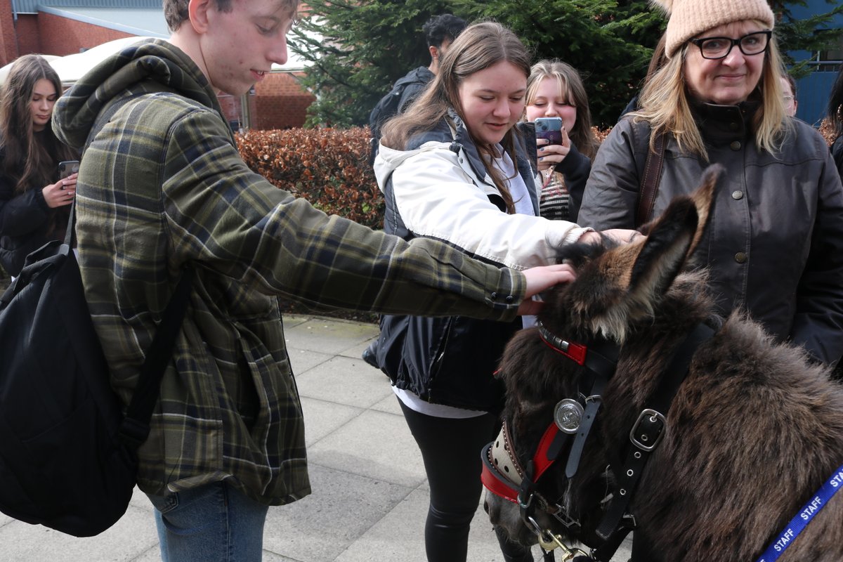 Georgie the Donkey visited us today for her annual Easter visit! Happy half term all from us and Georgie! We hope you have a lovely bank holiday weekend and a restful break. For a reminder of term dates, visit: asfc.ac.uk/student-life/t…