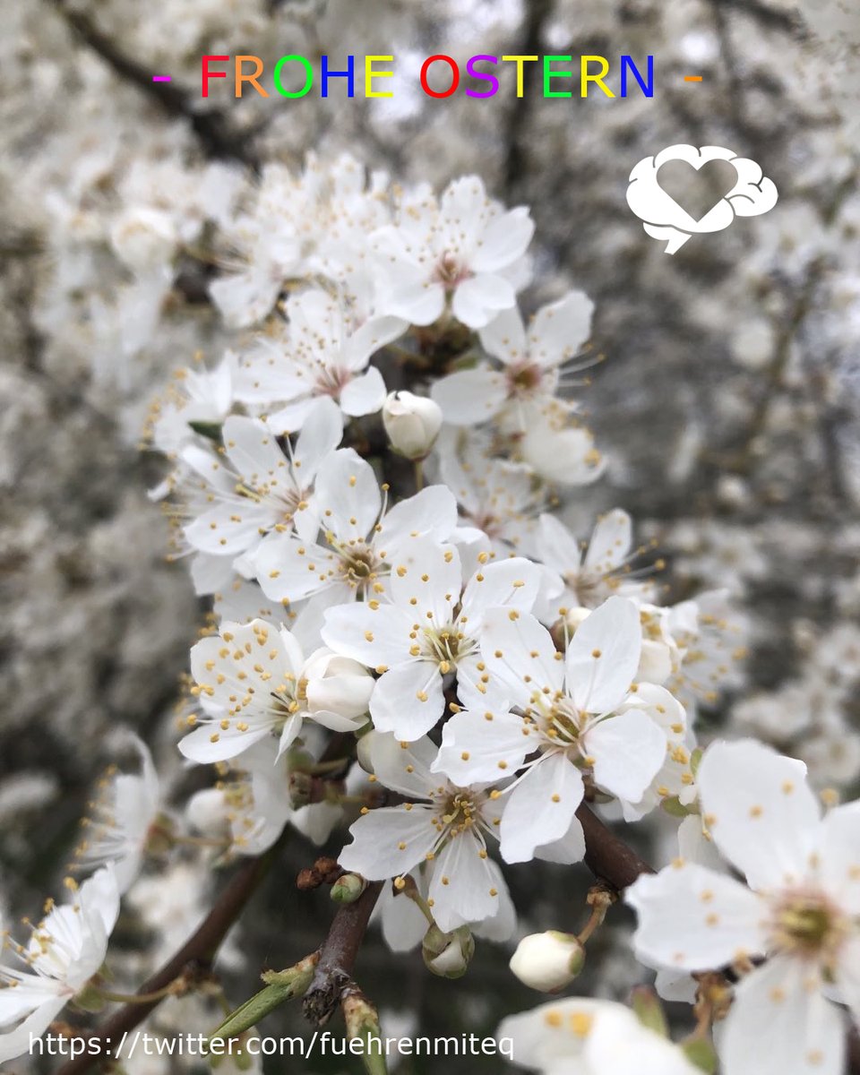 Peter Mertingk (@fuehrenmiteq) on Twitter photo 