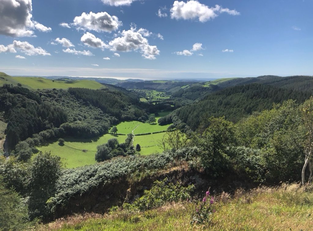 I'm looking to speak to owner/managers of rural-based small businesses in Wales for a research project I'm leading on rural SME resilience. If that is you, or you know some relevant examples, please get in contact. Thanks/Diolch.