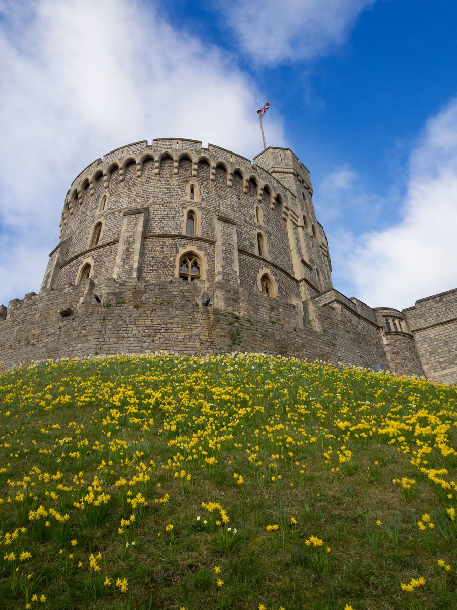 🥚🐰 'Ears' to a great Easter Check out our top ten tips for having an eggs-cellent Easter in Windsor & the Royal Borough windsor.gov.uk/ideas-and-insp… 📸© @RCT