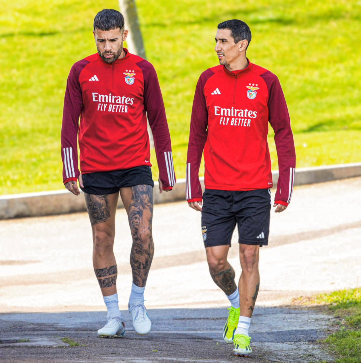 Estamos aqui de volta 🦾 #SLBenfica 🦅