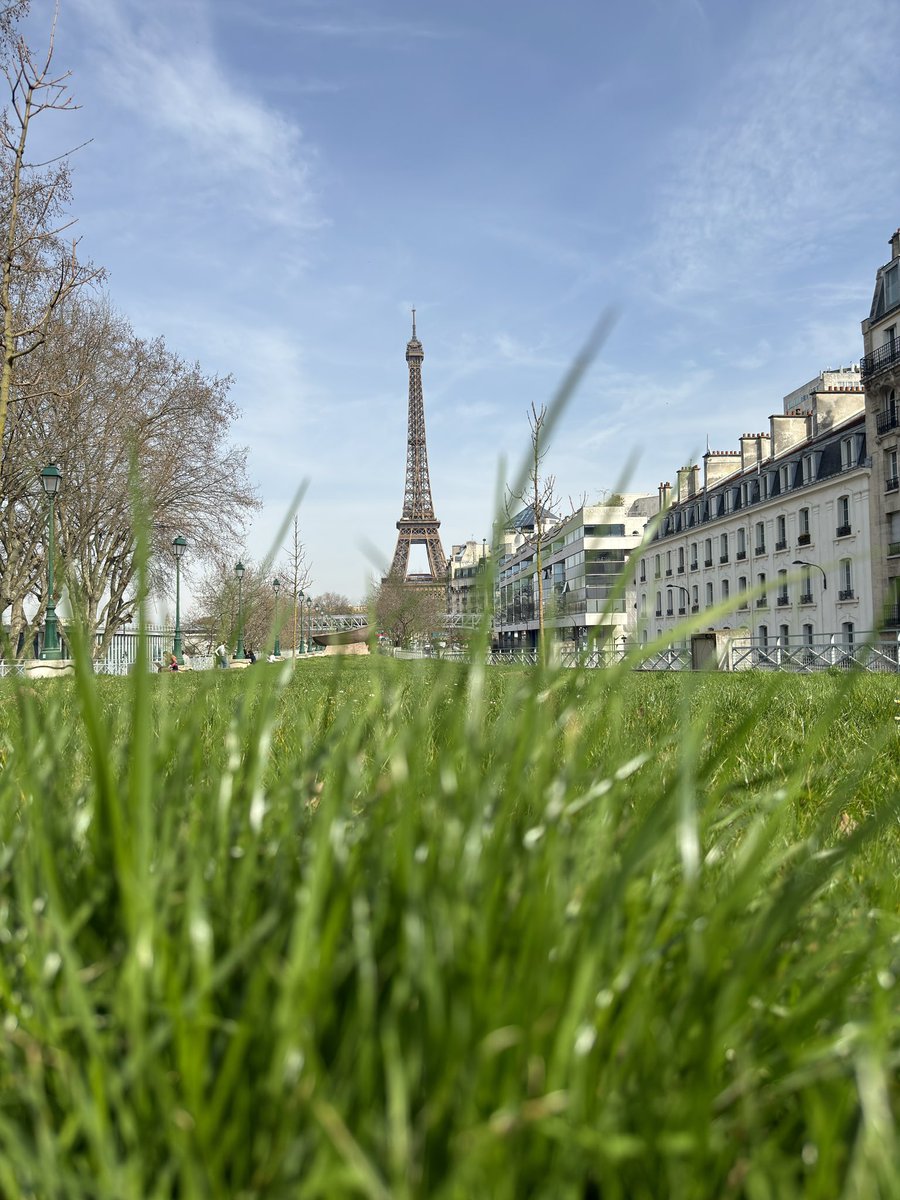 🇫🇷 #Jeudiphoto Prêts pour la chasse aux œufs ?

🌐 Ready for the egg hunt?