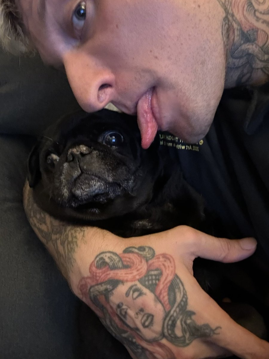 Tengo el corazón roto.
Tengo que decirle adiós al ser que más amor me ha dado en los últimos 10 años y ni siquiera pude despedirme de él. Salí de mi casa sin saber que ya no lo volvería a ver nunca más… Supongo que la vida es así. Mostrad amor y gratitud cada día . Nunca sabréis