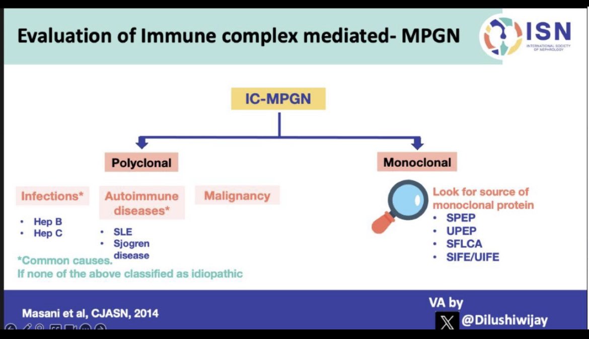 ✍️ How do you classify MPGN ⬇️

🫘Immune complex MPGN-Polyclonal or monoclonal

🫁In polyclonal MPGN-Rule out 

🎯infections/ Autoimmune disease/Malignancy 

@ISNeducation @Dilushiwijay @myadla 

#ECNeph