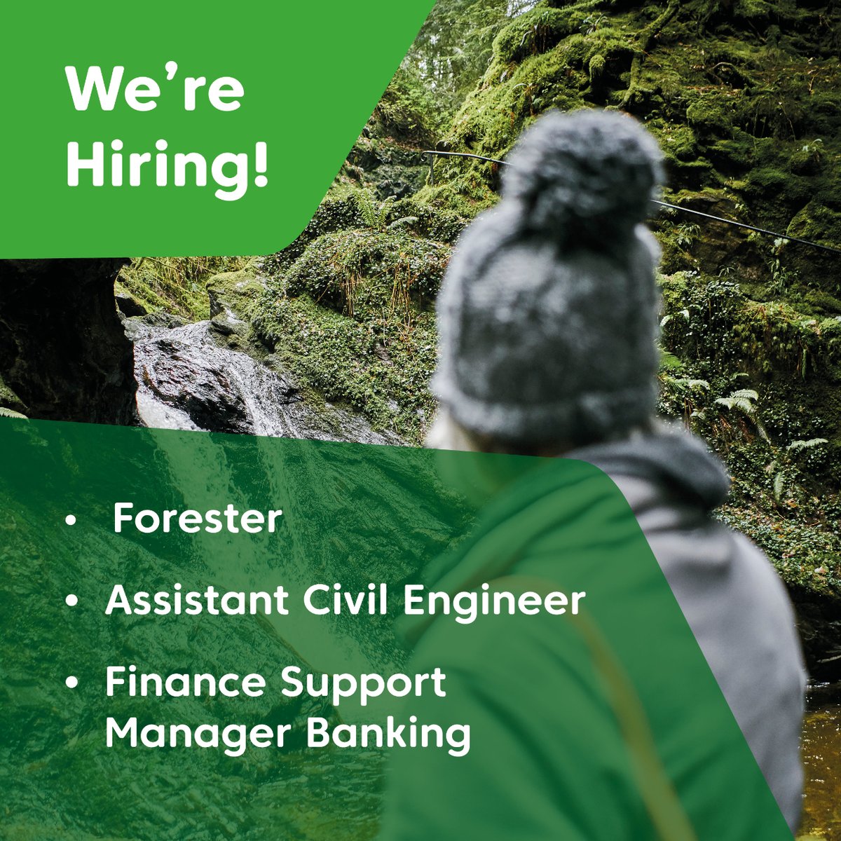 📣 We're currently hiring a range of positions across the country.  ➡️ Forester - National ➡️ Assistant Civil Engineer ➡️ Finance Support Manager Banking  Join us in helping look after Scotland’s national forests and land. forestryandland.gov.scot/jobs/current-o…