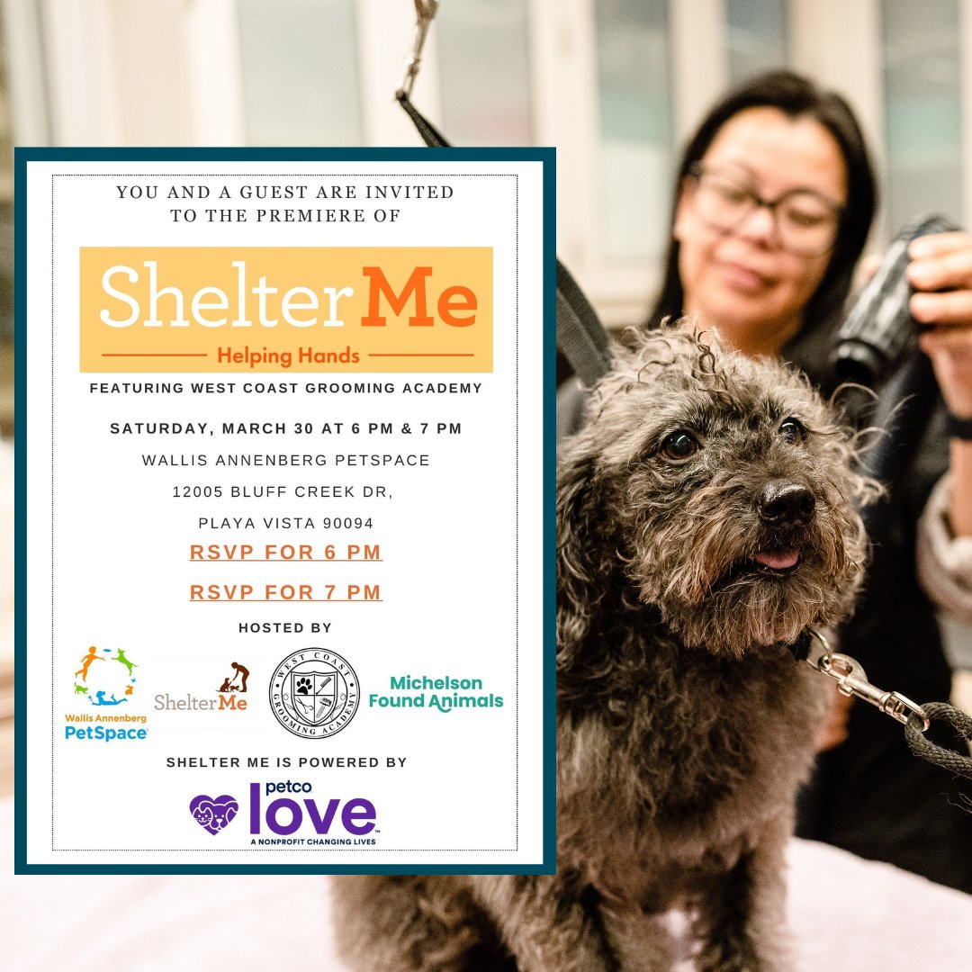 Last call for RSVPs! Join us this Saturday, March 30, for a special screening of PBS’s Shelter Me at @AnnPetSpace! RSVP for the advanced screening here: 6 p.m. RSVP forms.gle/LcTE8y1QGk3uJ8… 7 p.m. RSVP forms.gle/ZWCG77VuMhHhGo…