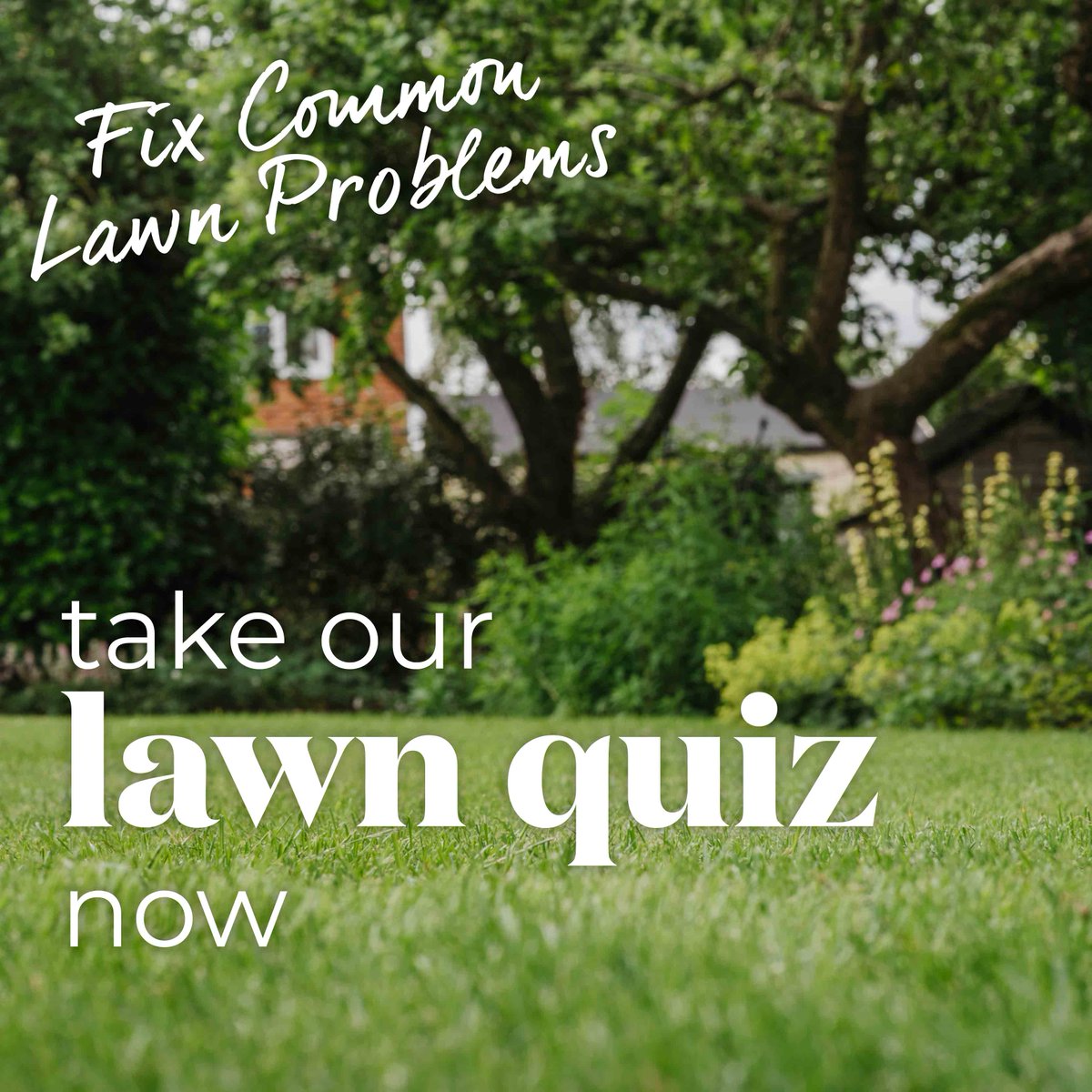 marshallsgardn's tweet image. Tired of searching endlessly for the perfect lawn care product? Look no further! Our quiz is here to match you with the ideal solution tailored to your lawn care needs. 🌟
bit.ly/46vD2aD
#LawnCare #GreenerLawns #QuizTime #DiscoverYourSolution
