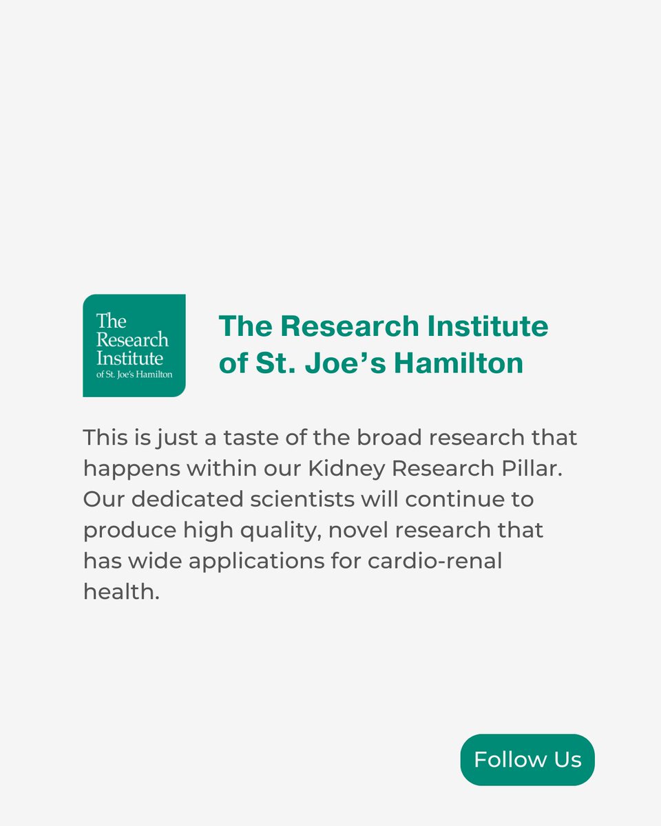 🎉 Celebrating a Decade of Discovery @ResearchStJoes! 🎂. Here are some highlights from our Research Pillar: Kidney #WeAreStJoes #ChallengeStatusQuo #DedicatedToDiscovery #ResearchInstituteAnniversary