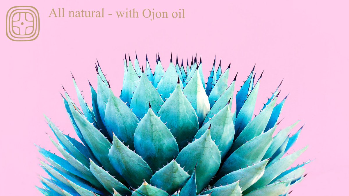 tilmanngruber's tweet photo. Did you know that clicking 'Follow' can boost a #SmallBusiness? 😍 Join us on LinkedIn and be part of our success story! 📈

➡️ https://t.co/EPmYB0XTvl 

#SupportLocal #LinkedIn #discovertzikal #ojonoil #ojon #batanaoil https://t.co/DBlo9GFipv