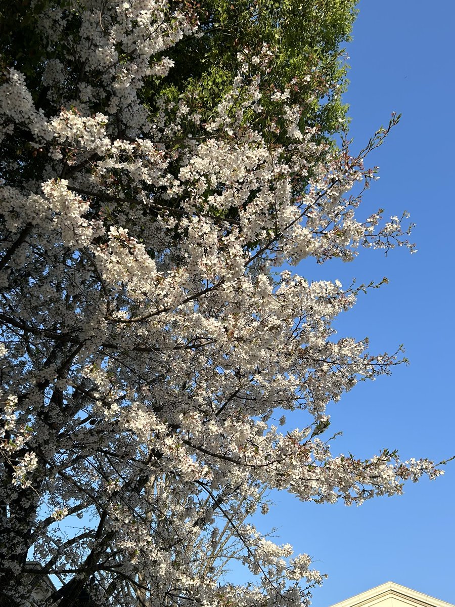 ___Phyllis___'s tweet image. 