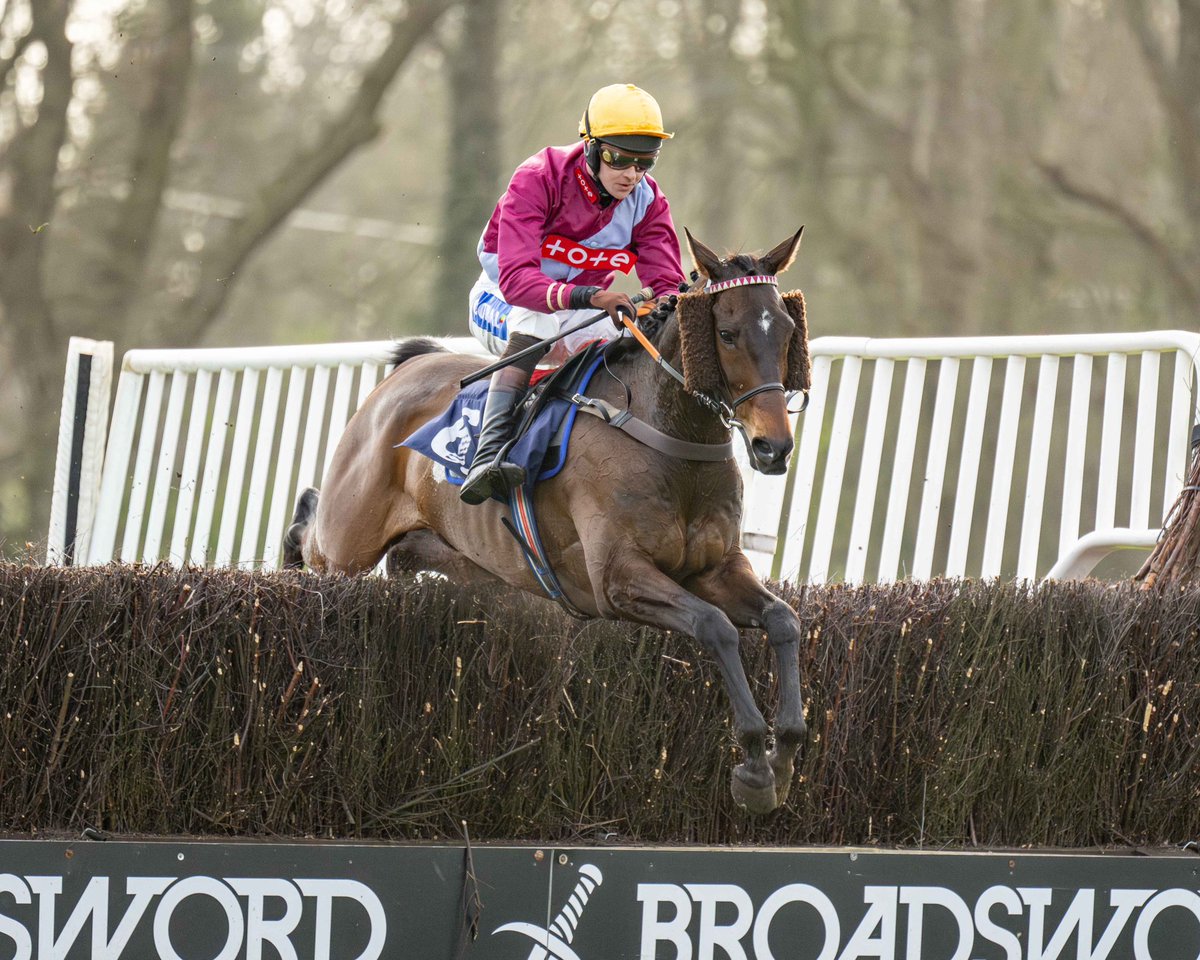 Race 5 - Download the @Yeeehaaabet App Handicap Chase 🏆 Uallrightharry 🥈Lightonthewing 🥉Captain Claude Jockey: @bpowell13 Trainer: Karen Jewell Owner: Mrs S Stainer