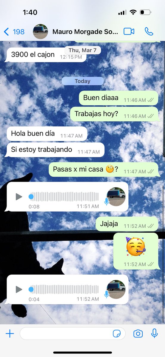 Allie Lazar tweet media