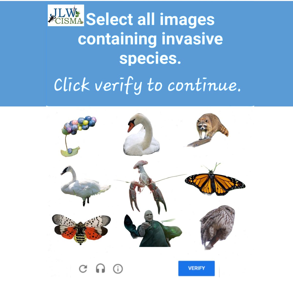 We suggest updating those traditional bus and building selection capatcha's to invasive species ones! We know our followers would crush this anti-robot challenge! #CAPTCHA #InvasiveSpecies #EspeciesInvasoras #amiarobot