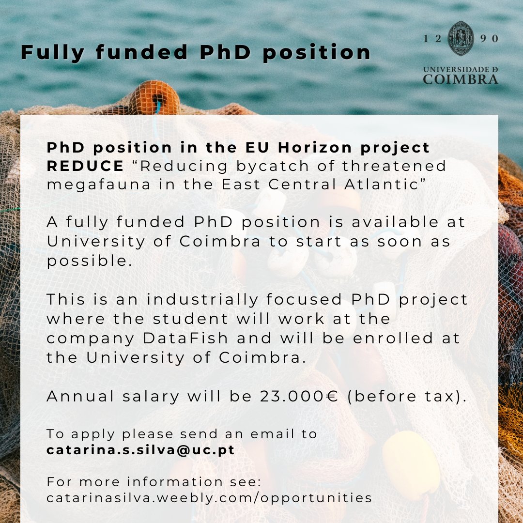 A fully funded #PhD position is available at
@UnivdeCoimbra to start as soon as possible.  
For more information see catarinasilva.weebly.com/opportunities.…

#horizonEU #REDUCE #bycatch #machinelearning #fisheries

@CFE_UC
@marineresearchL
@DCV_UC
@PhDForum
@FindAPhD
@Scholarshipps