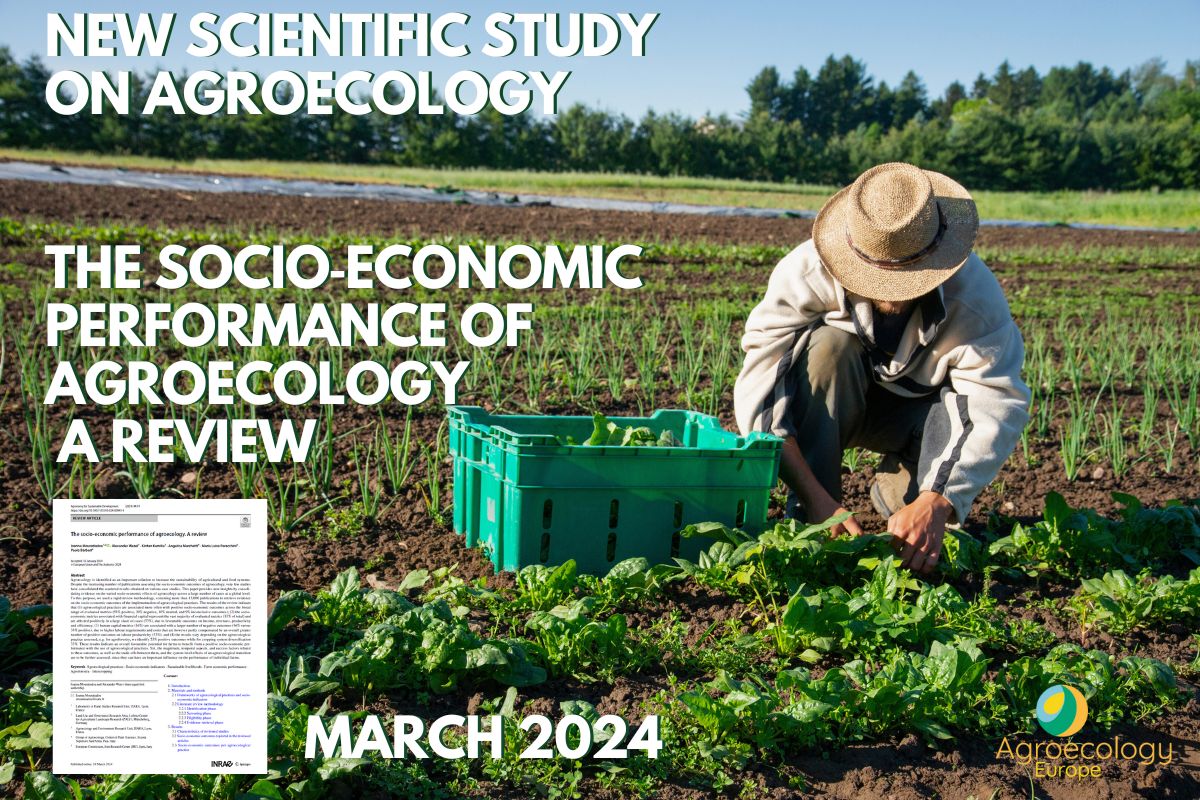 💡 New study @AgroecologyE's latest study reveals the significant socio-economic advantages of #agroecology. Read the press release and download the publication here: agroecology-europe.org/new-study-reve… #Sustainability #CommunityImpact