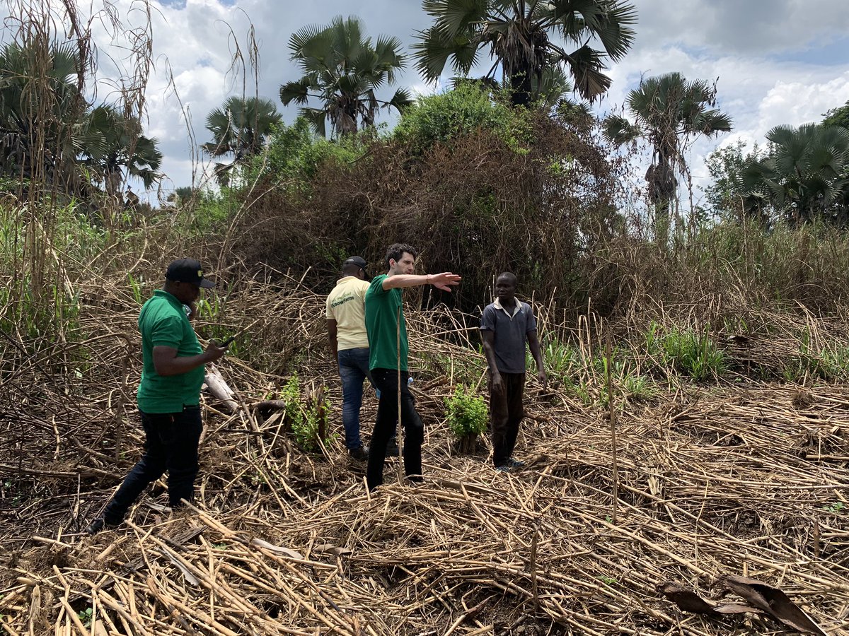 Earlier today, the Head of innovations and Digital Literacy Clinic client Lead from @Welthungerhilfe experienced a first-hand feel of the impact of our innovation @iKnowFarm App through physical interactions from the field with the users. Besides the sharing and learning