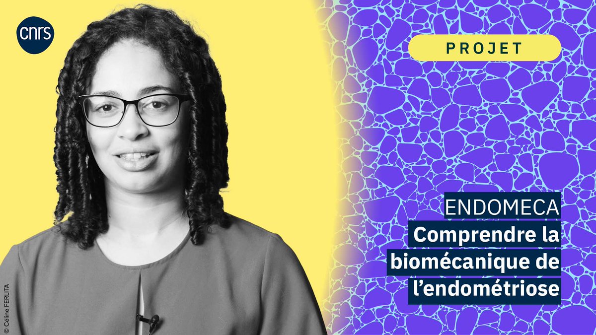 🔬A l'occasion de la Journée mondiale de lutte contre l'#endométriose, découvrez le projet #Endomeca de la chercheuse @MadgeAM_Martin du laboratoire #MSME ▶️youtube.com/watch?v=HLy6xZ…