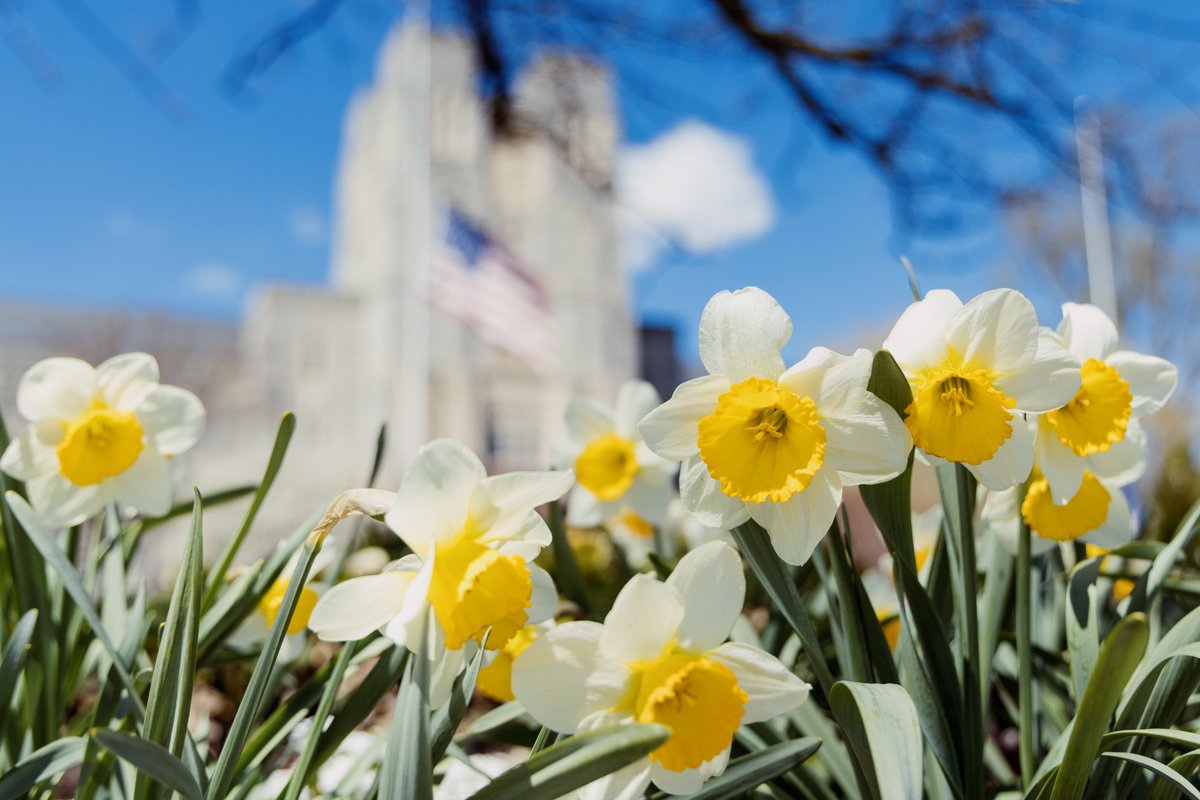 In this season of celebrations, just a reminder that, in accordance with the #VirginiaTech Principles of Community, faculty are encouraged to accommodate students' observance of religious, cultural, or faith-based beliefs. provost.vt.edu/provost-weekly…