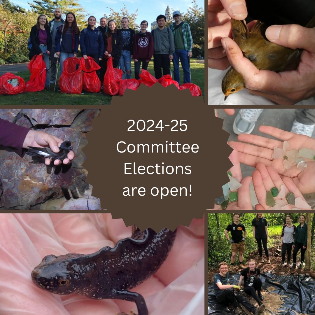 Cardiff WildSoc tweet media