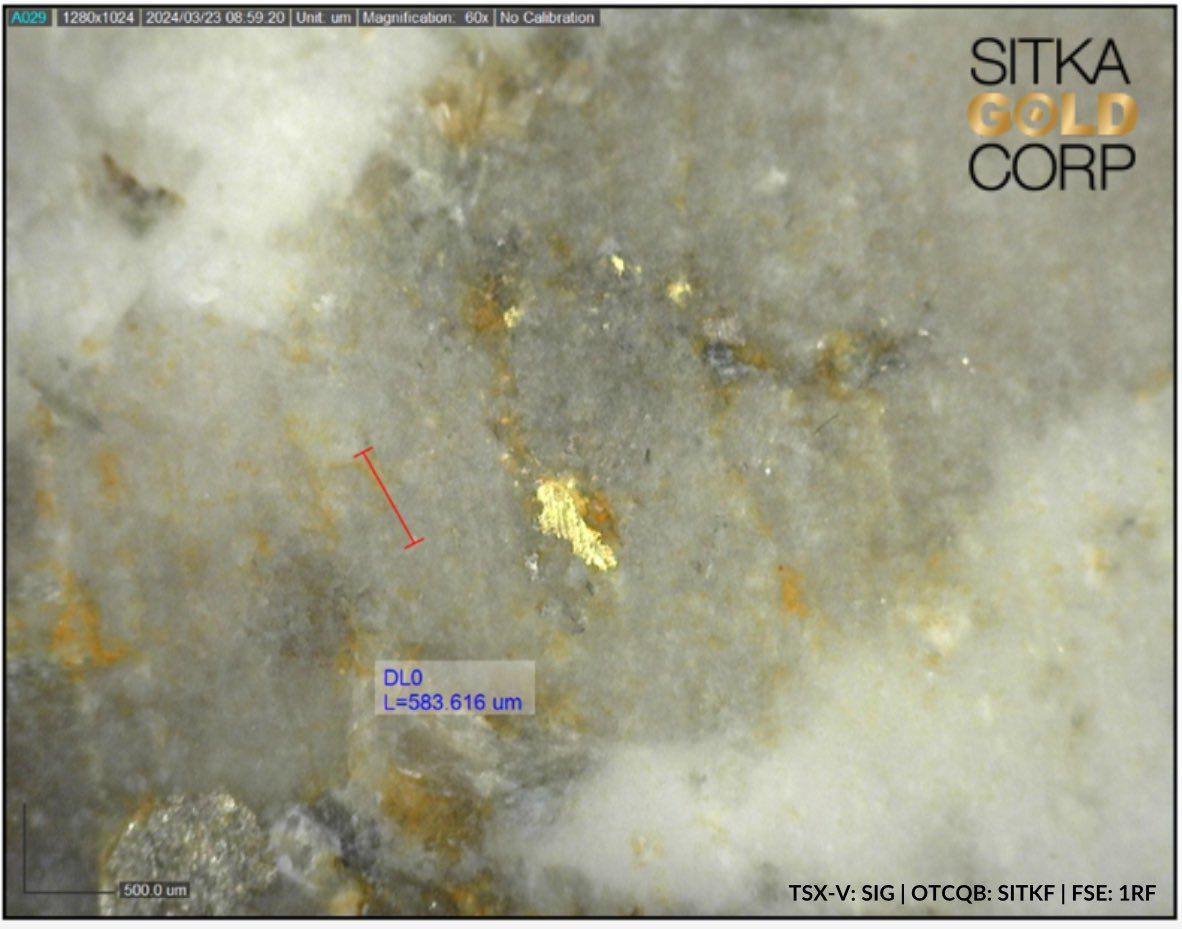 📣NEWS RELEASE: @SitkaGoldCorp Intercepts Visible Gold in First Diamond Drill Hole of 2024 at its RC Gold Project in Yukon! Read today’s news in full: tinyurl.com/56kf7kcj $SIG $SITKA #yukongold #winterdrilling #visiblegold #exploration