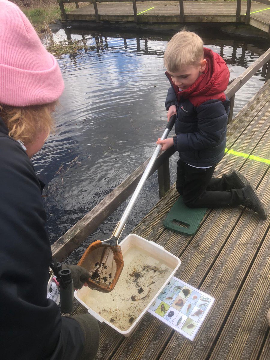 Pudsey Waterloo Primary School tweet media