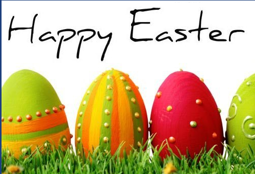 Easter Opening Hours -
Good Friday - CLOSED
OPEN Saturday AM
Easter Sunday - CLOSED
Easter Monday - CLOSED 
Back to Normal Hours Tuesday 2nd April